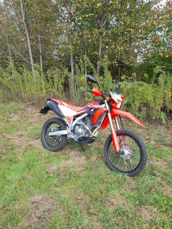 Honda CRF 300 L (2021 - 24) (2)