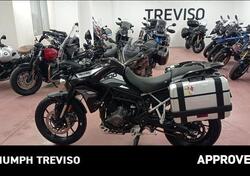 Triumph Tiger 900 GT Pro (2020 - 23) usata