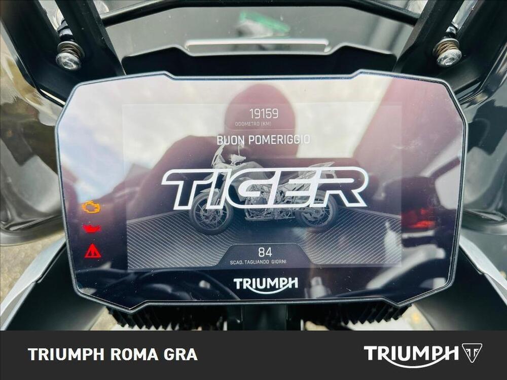 Triumph Tiger 900 Rally Pro (2020 - 23) (4)