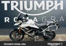 Triumph Tiger 900 Rally Pro (2020 - 23) usata