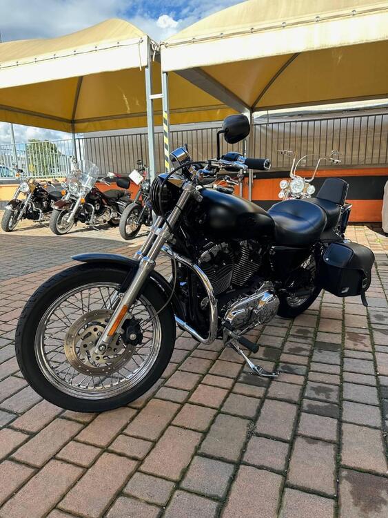 Harley-Davidson 1200 Low (2006 - 07) - XL 1200L (3)