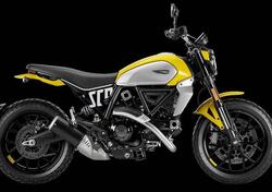 Ducati Scrambler 800 Icon (2023 - 24) nuova