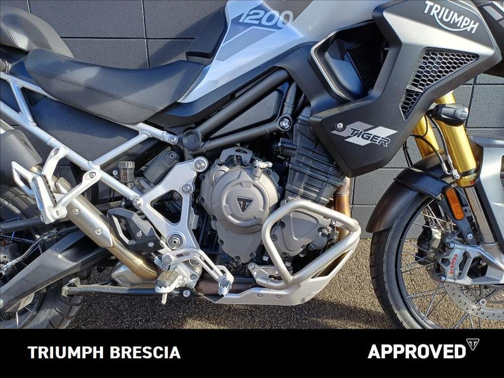 Triumph Tiger 1200 Rally Pro (2022 - 23) (5)