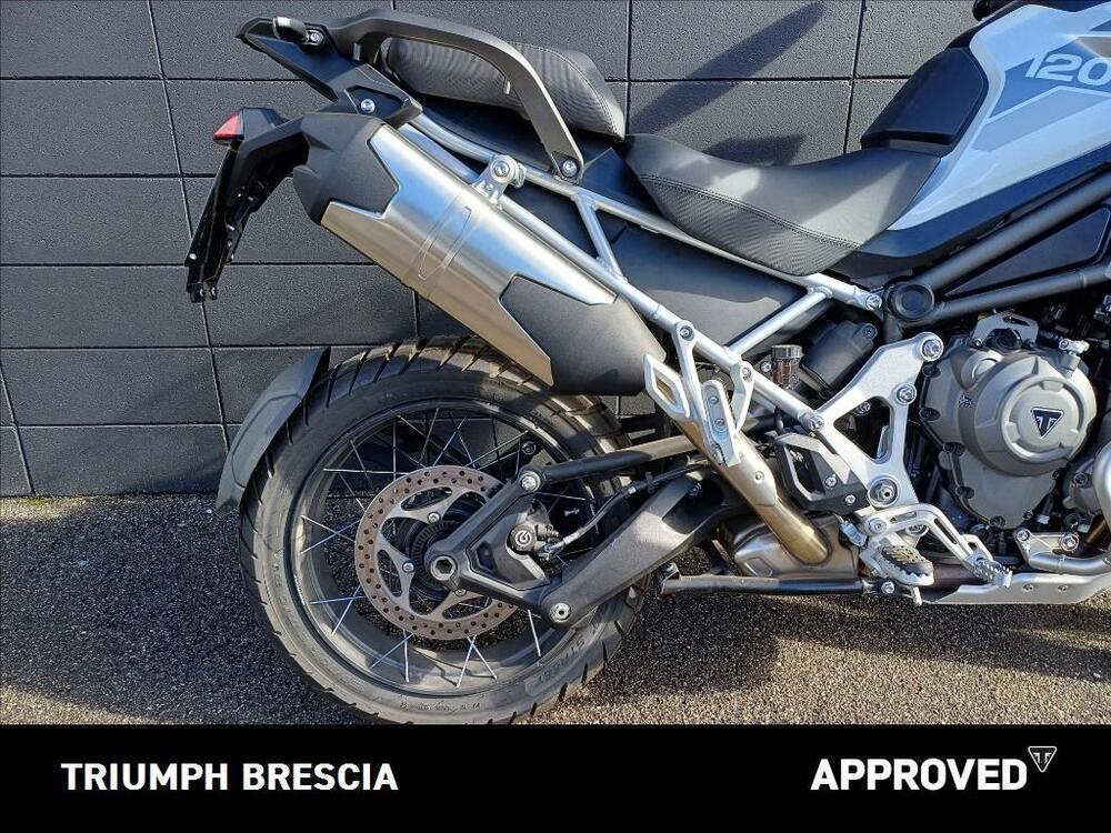 Triumph Tiger 1200 Rally Pro (2022 - 23) (4)