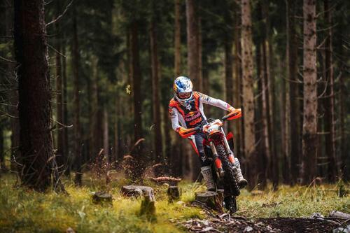 KTM Freeride E 2025: l'elettrica da off-road si aggiorna. Ecco come [VIDEO E GALLERY]