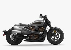 Harley-Davidson Sportster S (2022 - 24) nuova