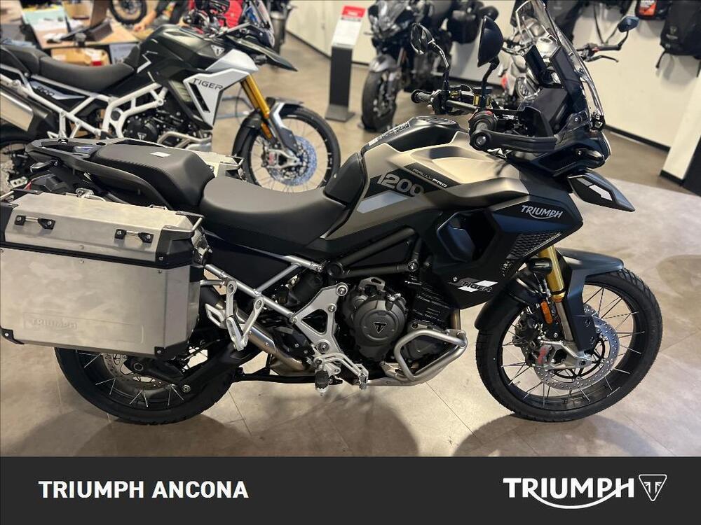 Triumph Tiger 1200 Rally Pro (2024) (2)