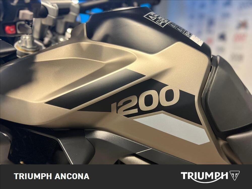 Triumph Tiger 1200 Rally Pro (2024) (4)