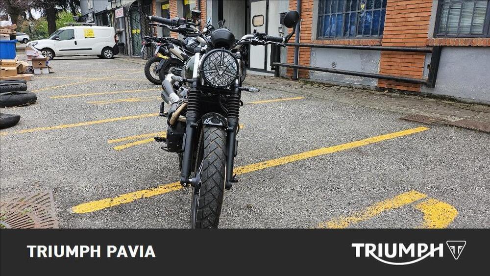 Triumph Street Scrambler 900 Gold Line Edition (2021 - 23) (2)