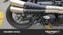 Triumph Street Scrambler 900 Gold Line Edition (2021 - 23) (17)