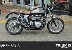 Triumph Thruxton 900 (2004 - 15) usata