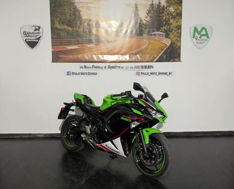 Kawasaki Ninja 650 (2017 - 19) (4)