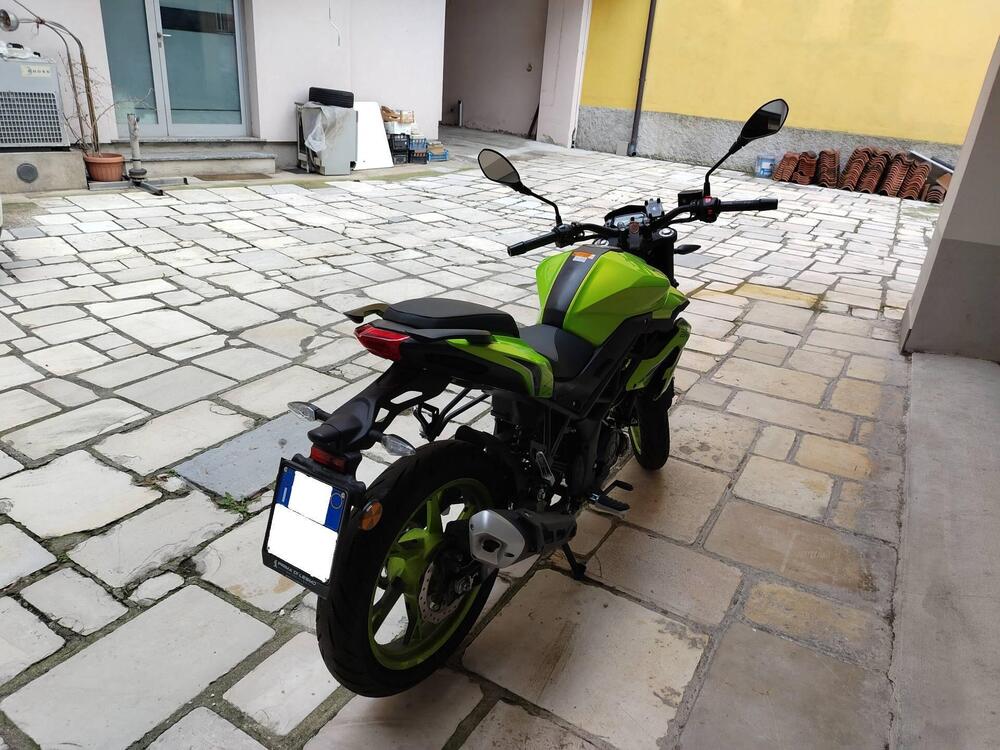 Benelli BN 125 (2021 - 24) (3)