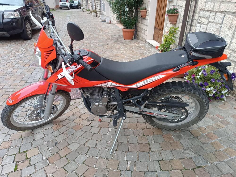 Betamotor Alp 4.0 (2008 - 17) (2)