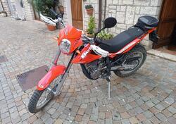 Betamotor Alp 4.0 (2008 - 17) usata