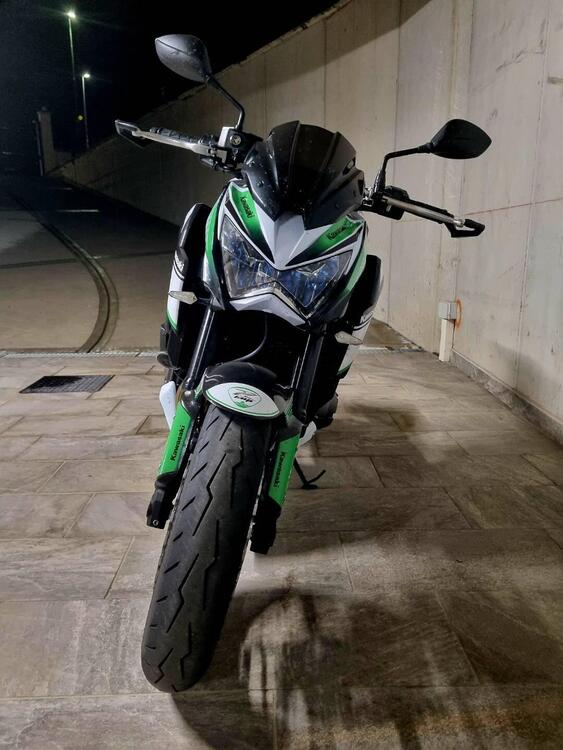 Kawasaki Z 800 Performance (2013 - 13) (5)