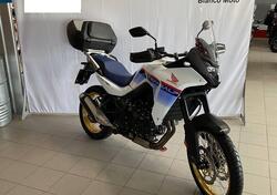 Honda Transalp XL750 Urban (2023 - 24) usata