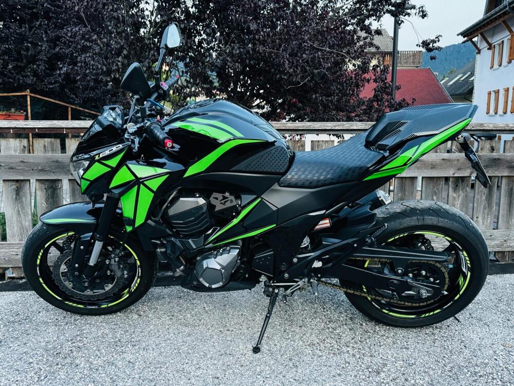 Kawasaki Z 800 Performance (2013 - 13) (3)