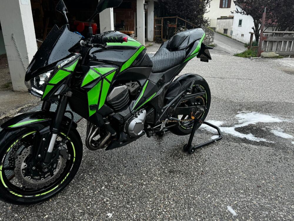 Kawasaki Z 800 Performance (2013 - 13) (4)