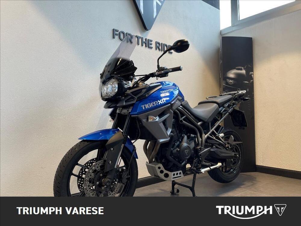 Triumph Tiger 800 XR (2015 - 17) (2)