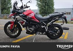 Triumph Tiger 900 GT Aragón Edition (2023 - 24) usata