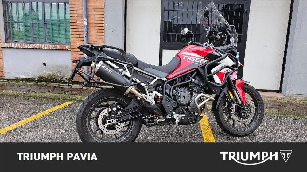 Triumph Tiger 900 GT Aragón Edition (2023 - 24) (2)