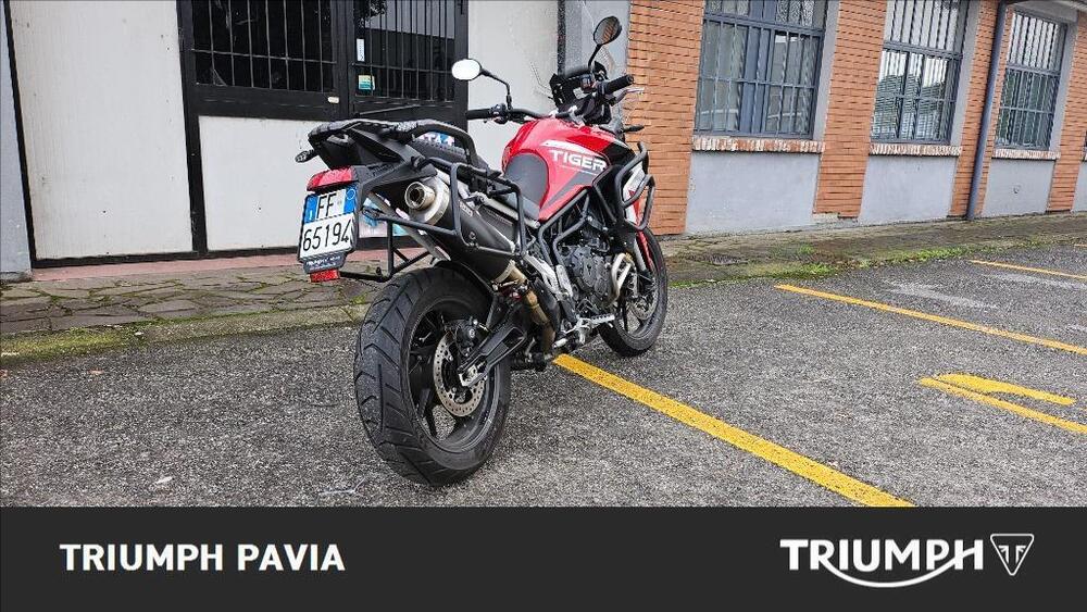 Triumph Tiger 900 GT Aragón Edition (2023 - 24) (5)