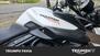 Triumph Tiger 800 ABS (2010 - 14) (19)