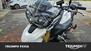 Triumph Tiger 800 ABS (2010 - 14) (9)