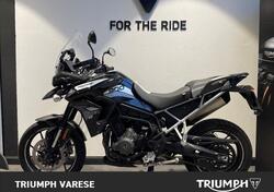 Triumph Tiger 900 GT Pro (2020 - 23) usata