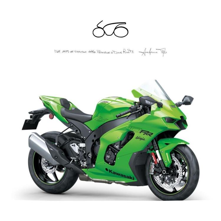 Kawasaki Ninja 1000 ZX-10RR (2021 - 23)