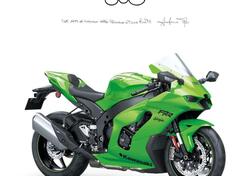 Kawasaki Ninja 1000 ZX-10RR (2021 - 23) nuova