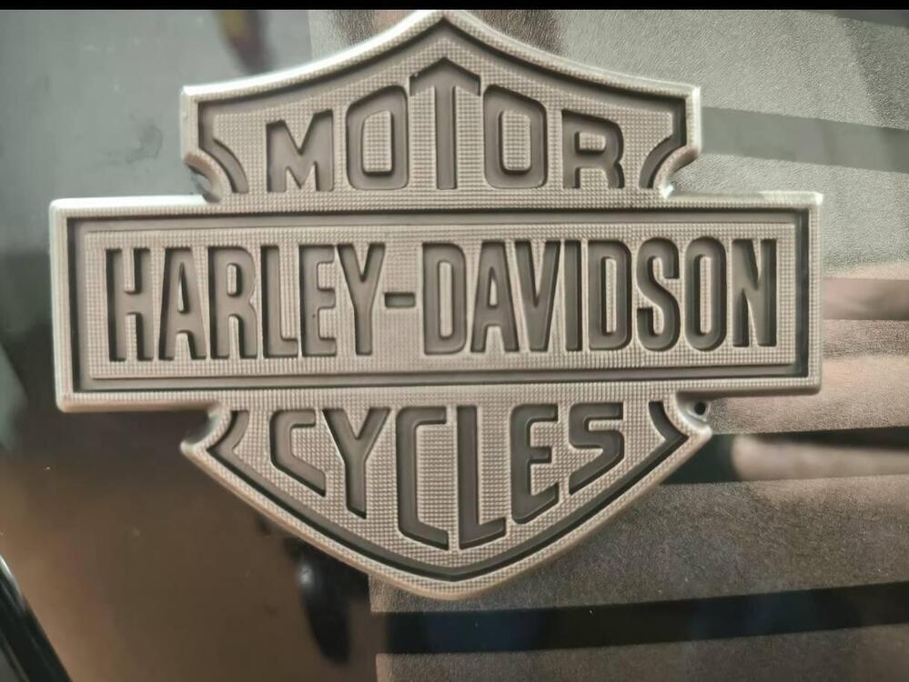 Harley-Davidson 1200 Forty-Eight (2016 - 20) (5)