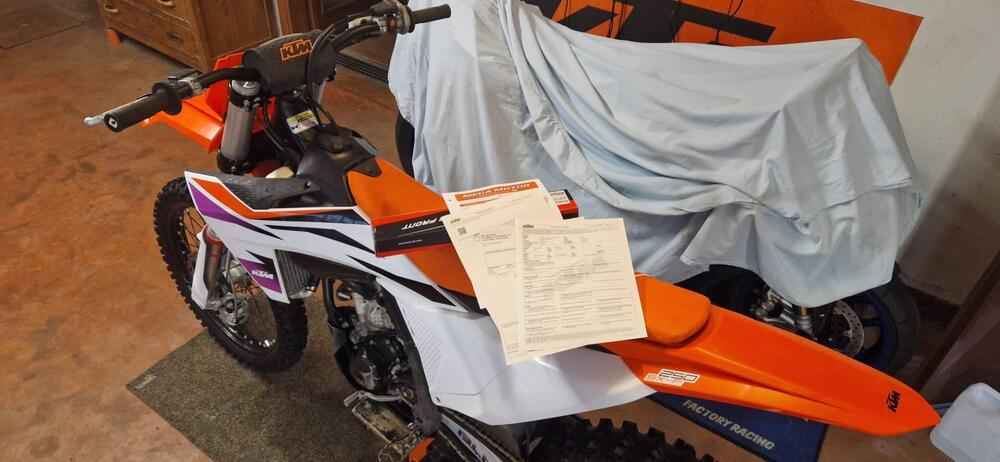 KTM SX 250 F (2024) (4)