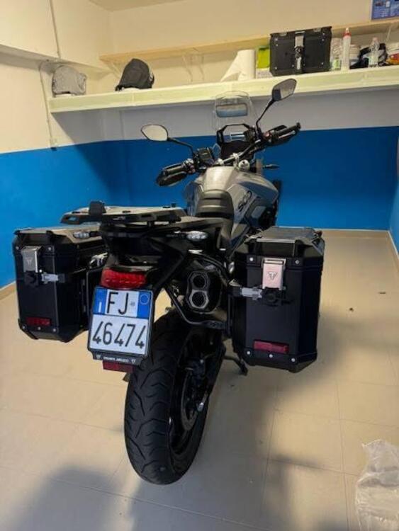 Vendo Triumph Tiger 900 GT Pro (2024) usata a Pescara (codice 9559850