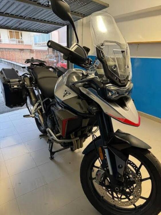 Vendo Triumph Tiger 900 GT Pro (2024) usata a Pescara (codice 9559850