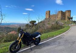 Ducati Scrambler 1100 Sport (2018 - 20) usata