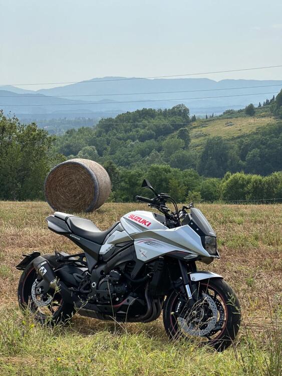 Suzuki Katana 1000 (2019 - 20) (3)