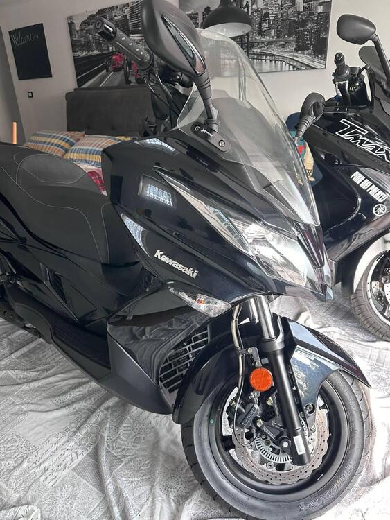 Kawasaki J 300 SE (2017 - 18) (2)