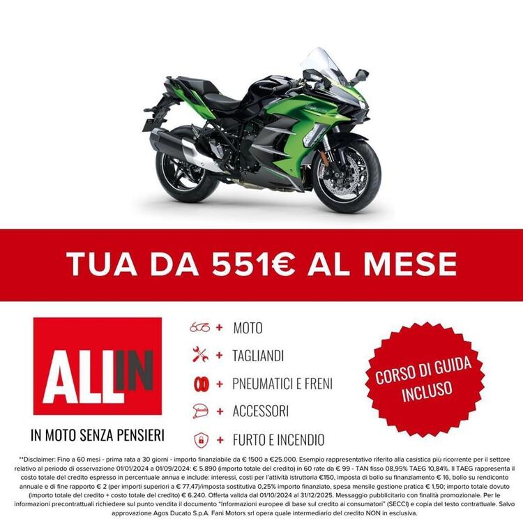 Kawasaki Ninja 1000 H2 SX SE (2023 - 25) (2)