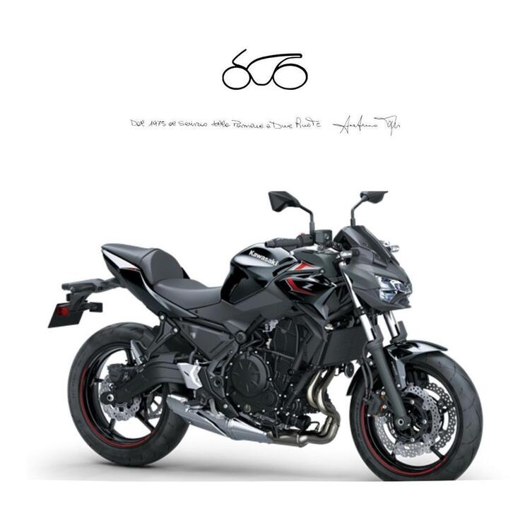 Kawasaki Z 650 (2021 - 25)