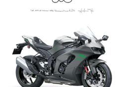 Kawasaki Ninja 1000 ZX-10RR (2025) nuova