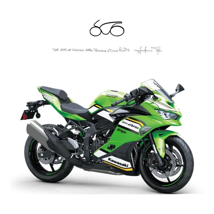 Kawasaki Ninja ZX-4RR (2024 - 25)