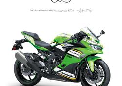 Kawasaki Ninja ZX-4RR (2024 - 25) nuova