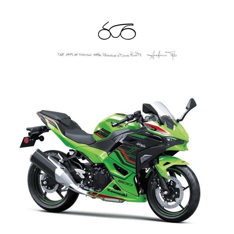 Kawasaki Ninja 500 SE (2024 - 25)