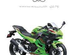 Kawasaki Ninja 500 SE (2024 - 25) nuova