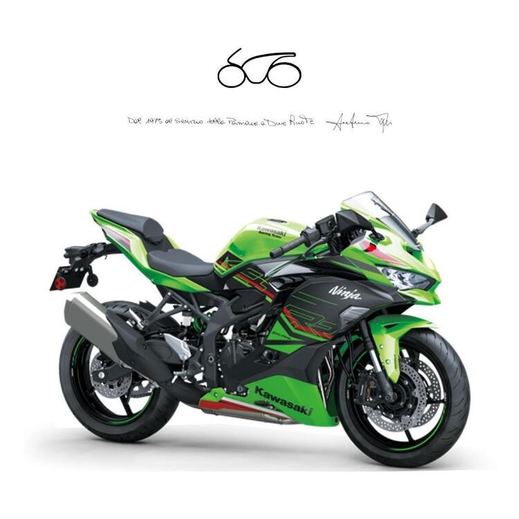 Kawasaki Ninja ZX-4RR (2024 - 25)