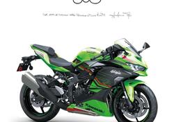 Kawasaki Ninja ZX-4RR (2024 - 25) nuova