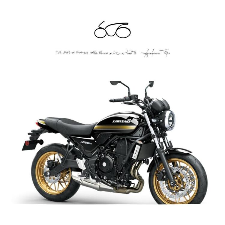 Kawasaki Z 650 RS (2022 - 25)