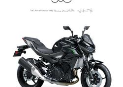 Kawasaki Z 500 (2024 - 25) nuova